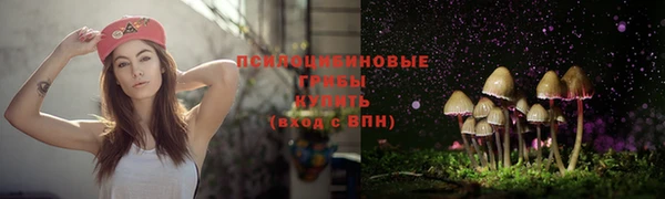 гидра Алексин