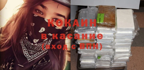 хмурый Алзамай